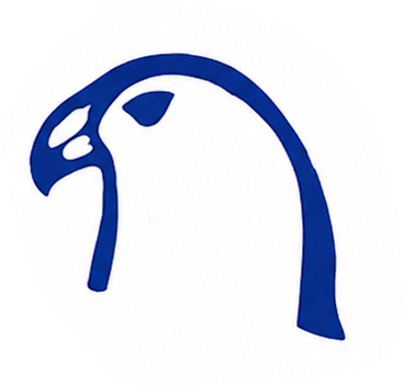AL AMIR Medical Equipment Supplies